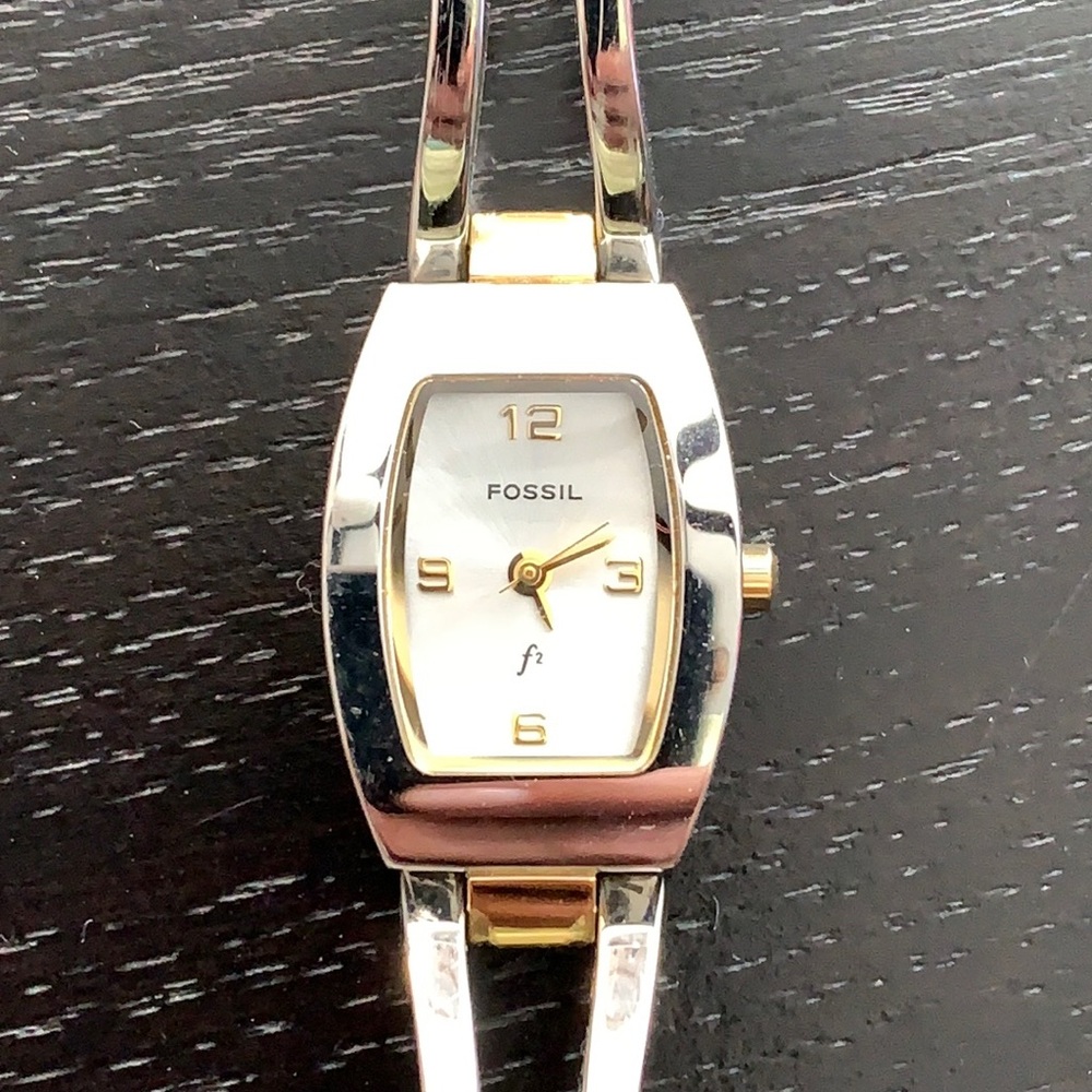 Fossil Watch